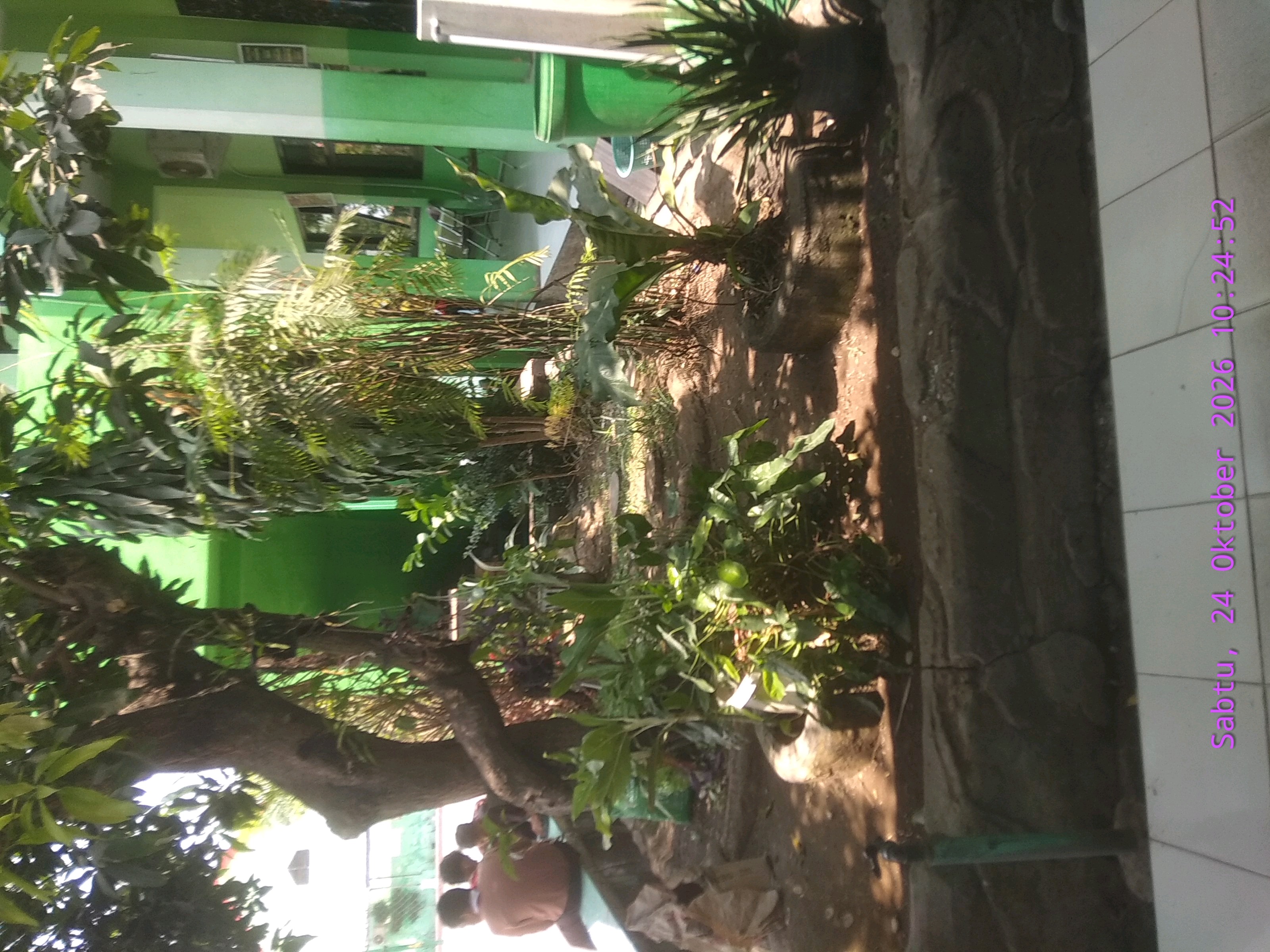 Photo 3