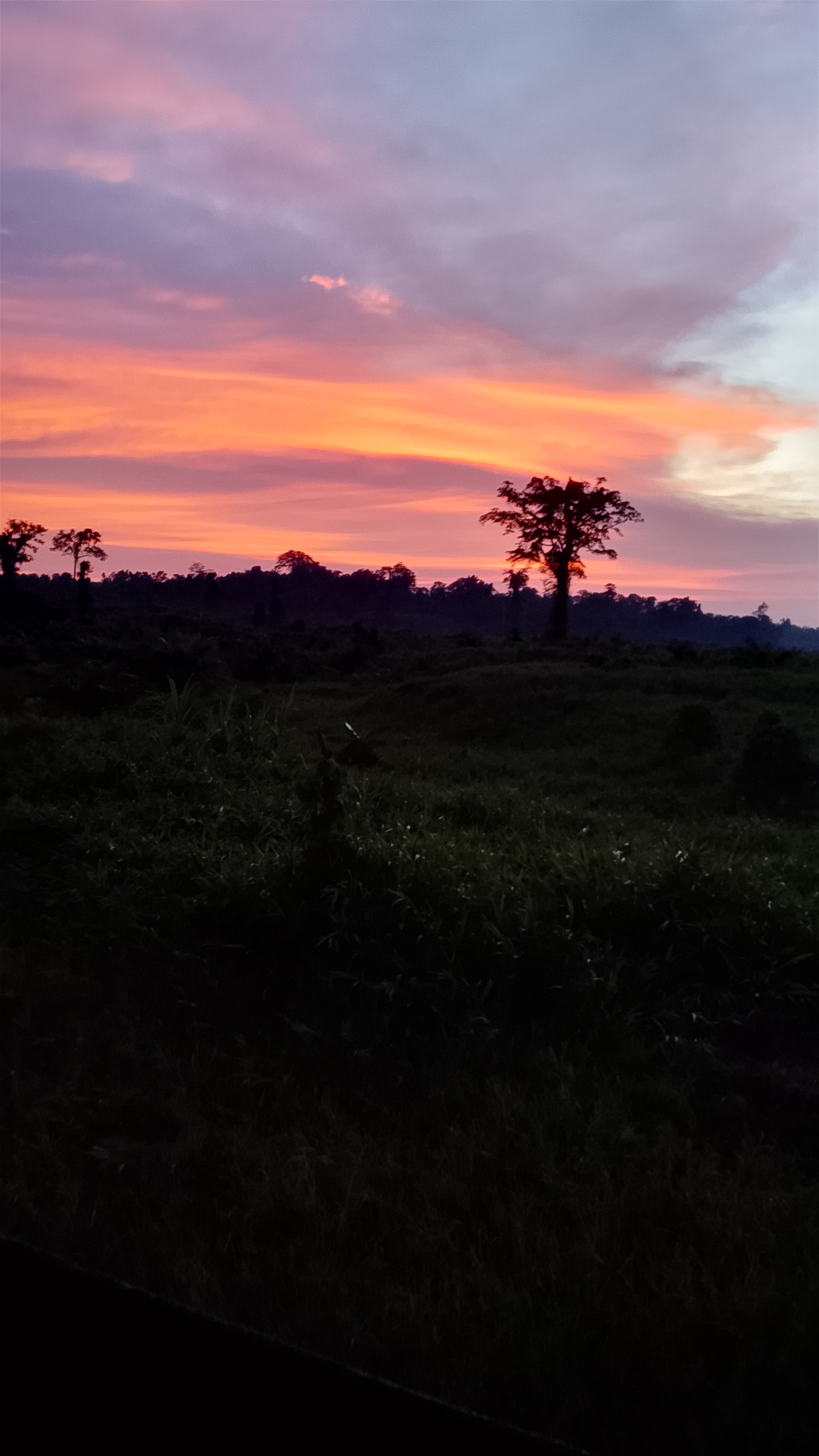 Foto oleh Maull